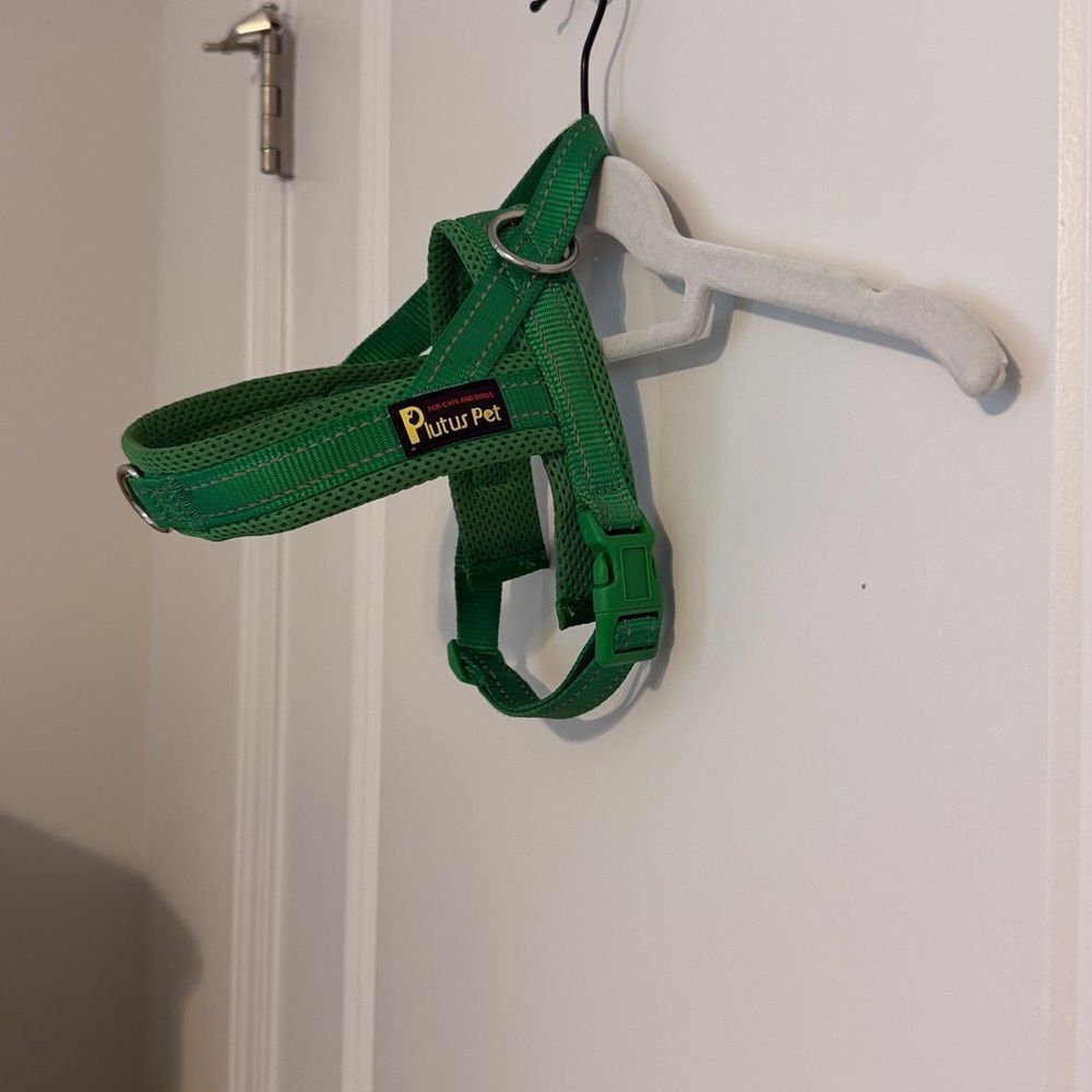Green Dog Harness